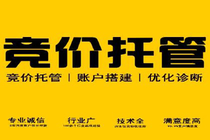 百度竞价排名案例：如何打造爆款广告并提升品牌形象
